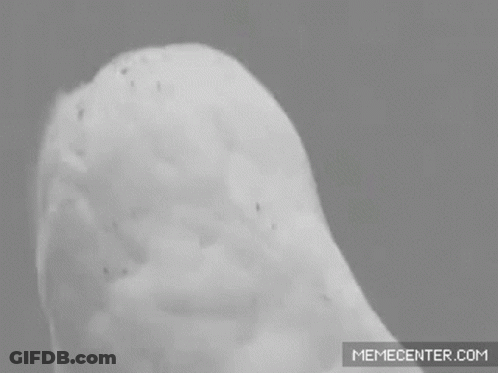 OMG Just When I Thought Ive Seen It All GIF