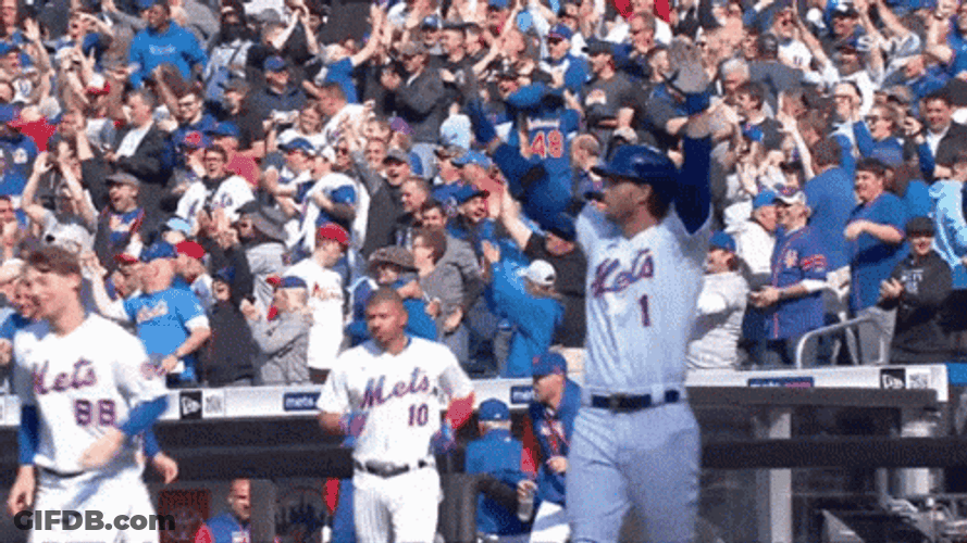Omg Mets Jeff McNeil Happy Dance GIF