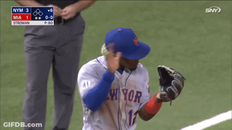 Omg New York Mets Lets Go GIF