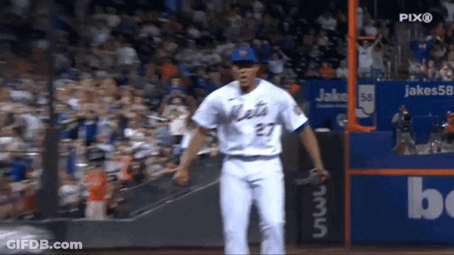 Omg New York Mets Major League Baseball GIF