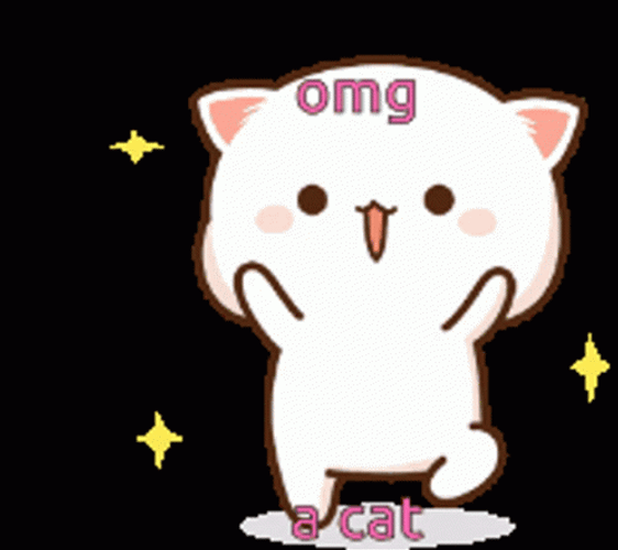 Omg Peach Cat GIF