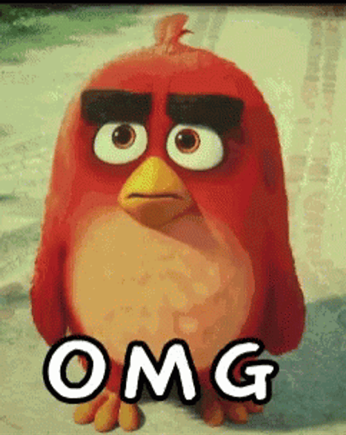 Omg Red Angry Bird GIF