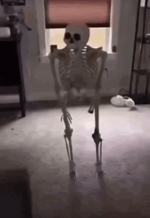 Omg Skeleton Falling Down Meme GIF