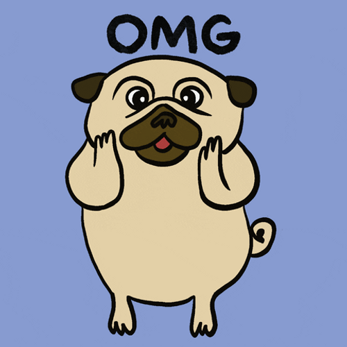 Omg Wiggling Pug Dog GIF