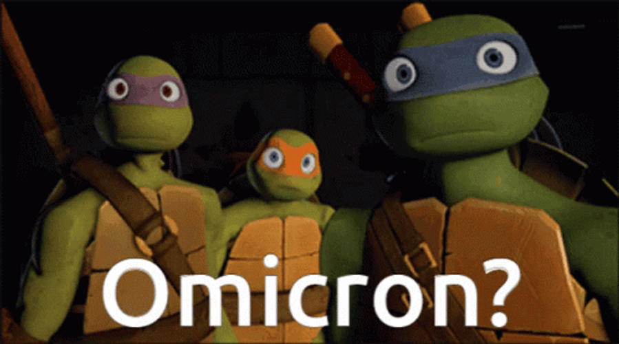 Omicron Variant Ninja Turtles Blink GIF