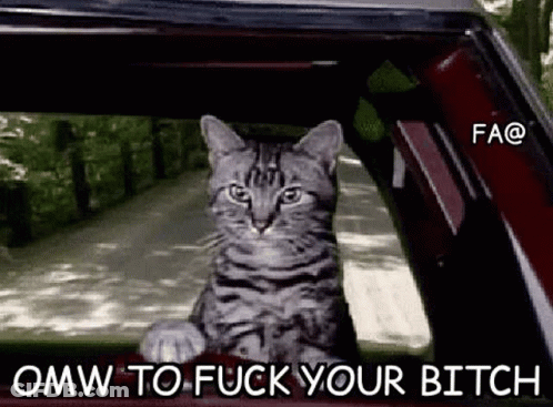 Omw Driving GIF