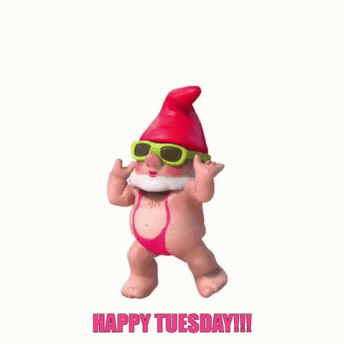 On A Tuesday Funny Dancing Gnome GIF