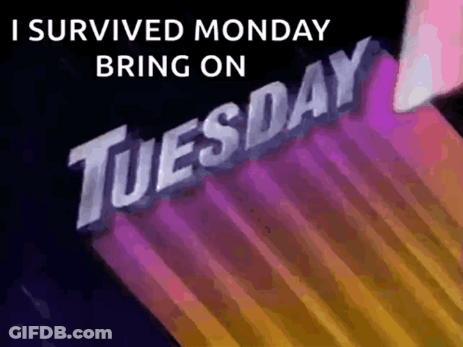 On A Tuesday Survived Monday Meme GIF