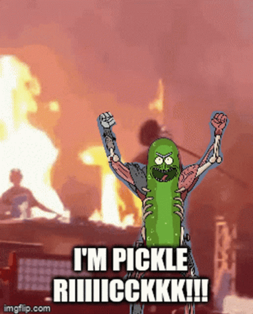 On Fire Mr. Pickle Rick GIF