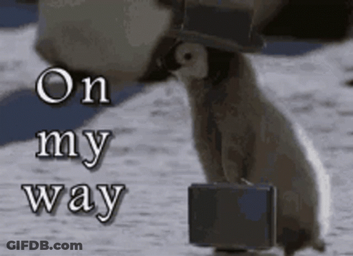 On My Way Penguin With Suitcase GIF