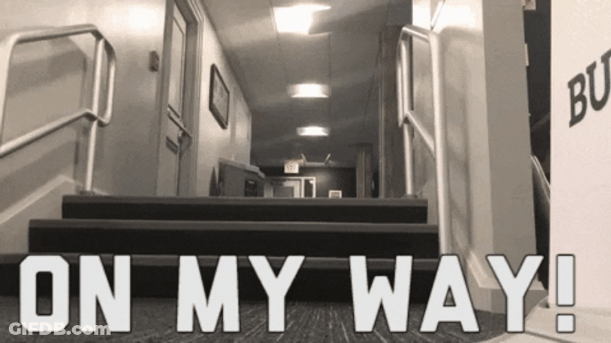 On My Way Pug Dog Running GIF