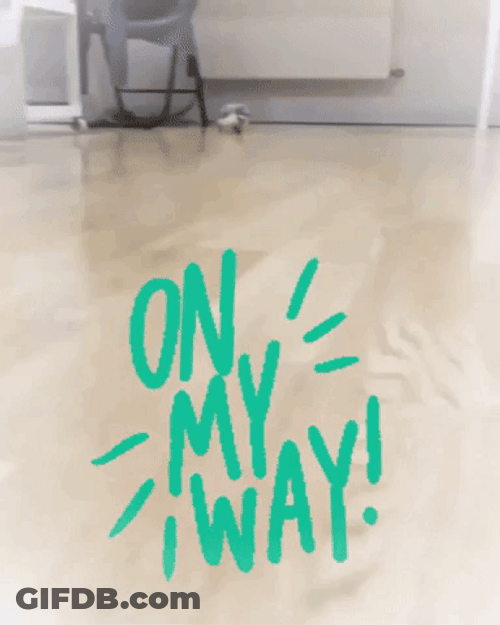On My Way Running Hedgehog GIF