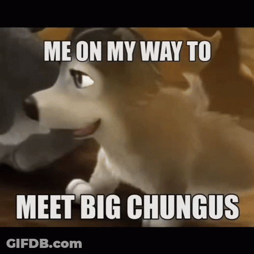On My Way To Meet Big Chungus GIF