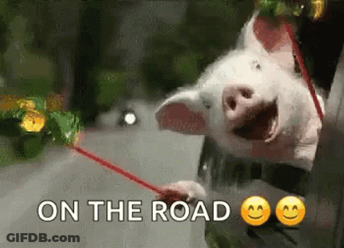 On The Road Again Happy Piglet GIF