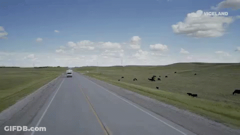 On The Road GIF