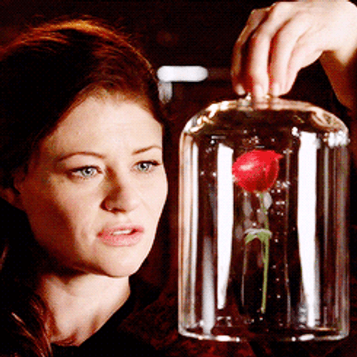 Once Upon A Time Belle With Rose GIF
