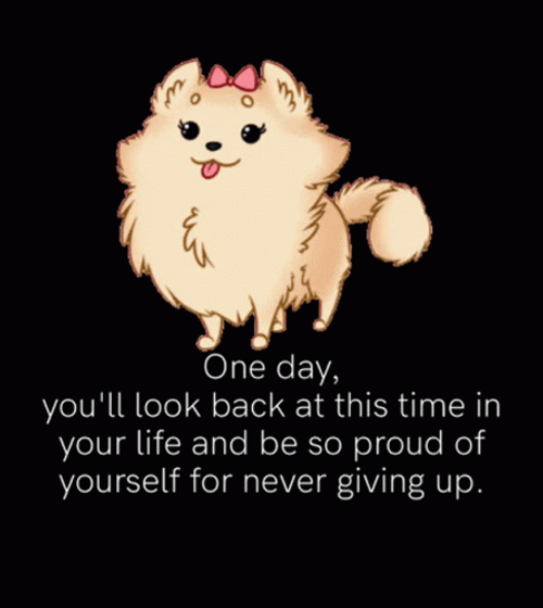 One Day Cute Cat GIF