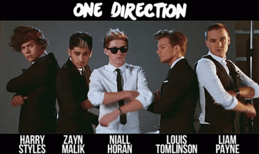 One Direction Harry Styles Kiss You GIF