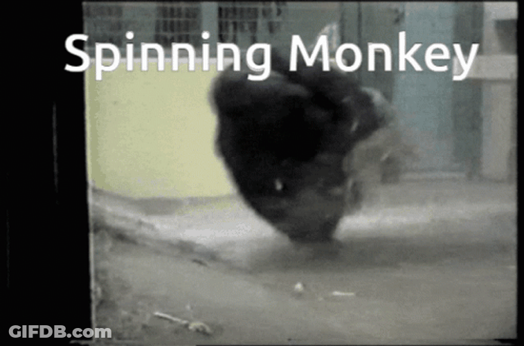 One Leg Spinning Funny Monkey GIF