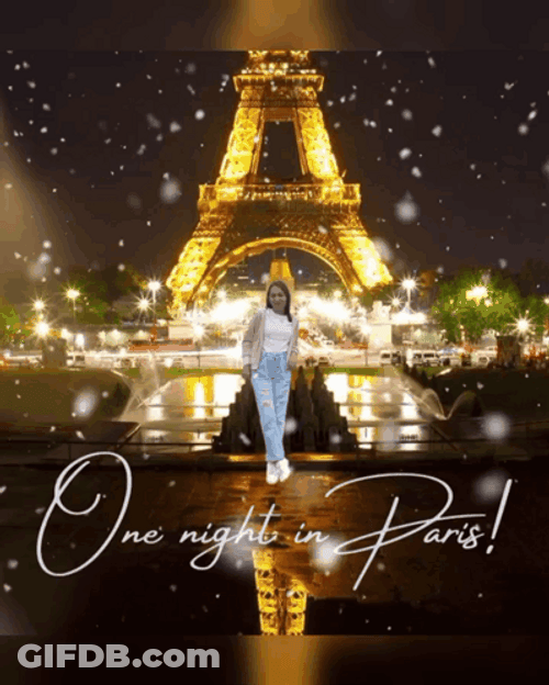 One Night In Paris GIF