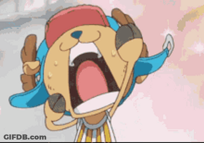 One Piece Chopper Funny Spinning GIF