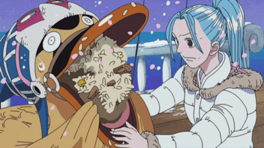 One Piece Nefertari Vivi And Karoo GIF