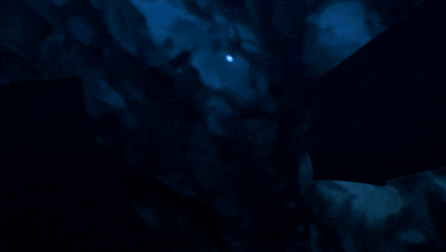 One Piece Onigashima Arc GIF