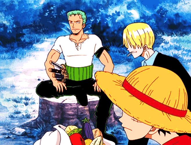 One Piece Straw Hat Male Pirates GIF