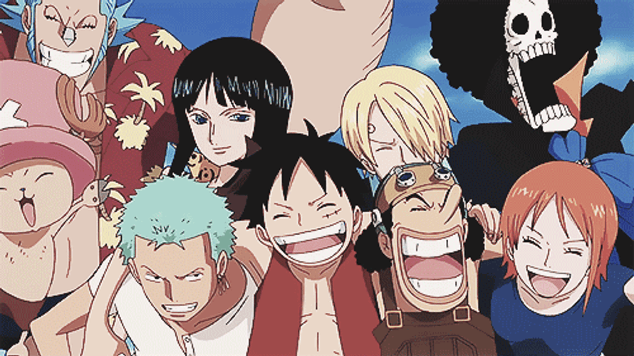 One Piece Straw Hat Pirates GIF