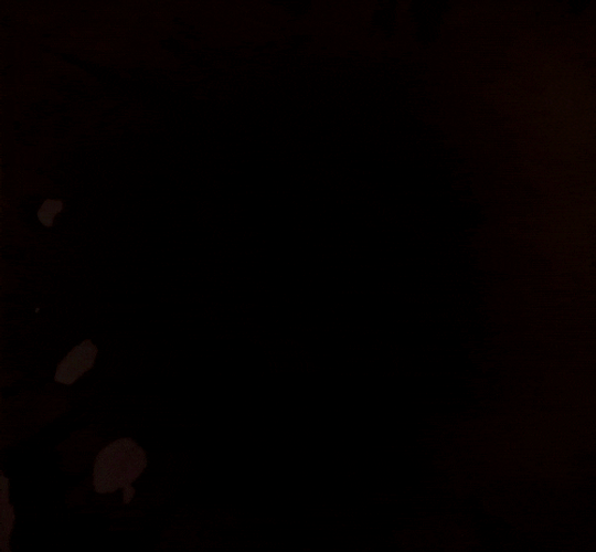 One Punch Man Bald Head Saitama GIF