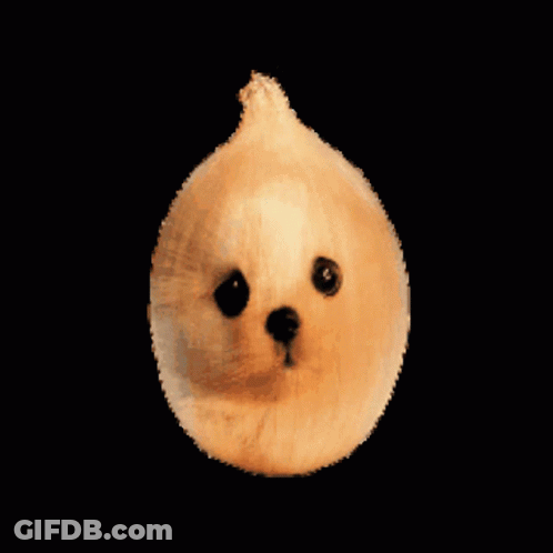 Onion Stuffed Animal With Dog Face GIF