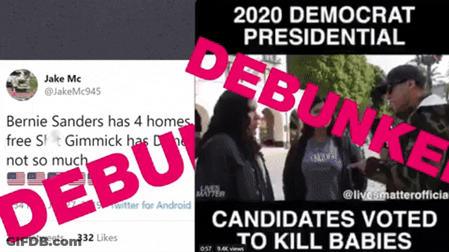 Online News Politics Debunked GIF