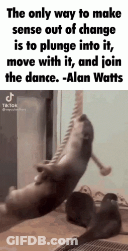 Only Way To Make Sense Out Of Change Is To Plunge Into It GIF