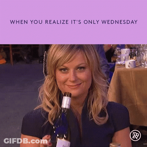 Only Wednesday Amy Poehler GIF