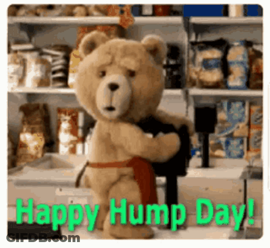 Only Wednesday Bear Dance Hump Day GIF