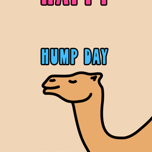 Only Wednesday Camel Hump Day GIF