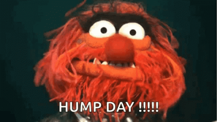 Only Wednesday Hump The Muppets Animal GIF