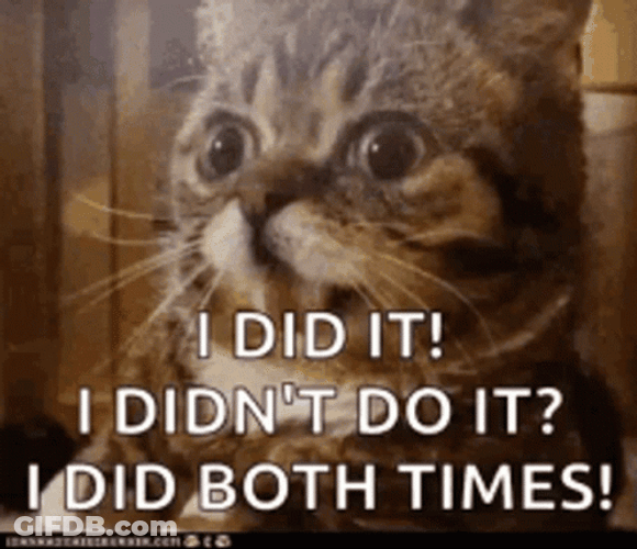 Oops I Did It Again GIF