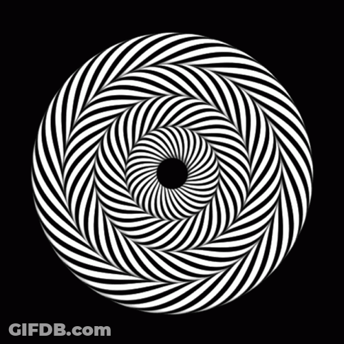 Op Art Pattern Rotation Optical Illusions GIF