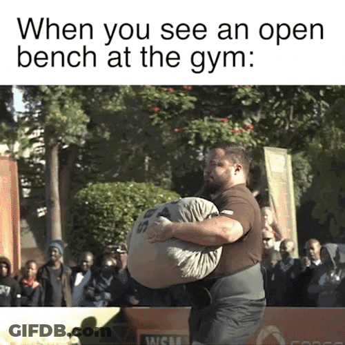 Open Bench At The Gym GIF