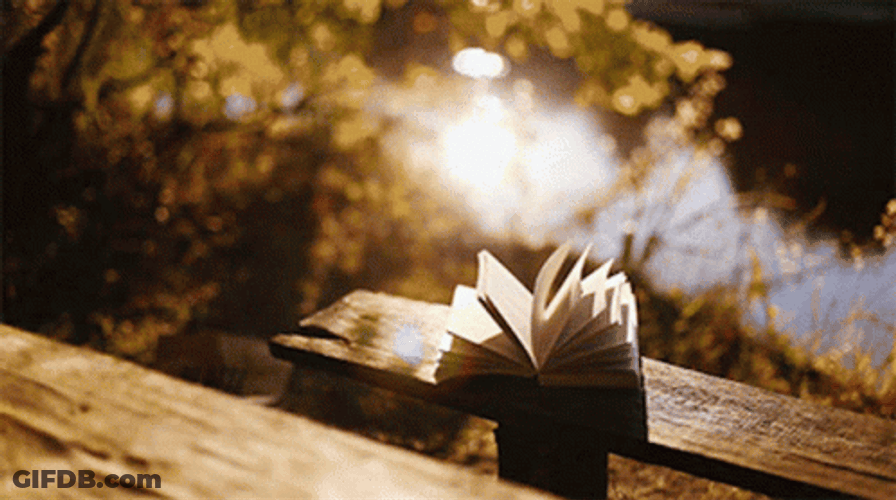 Open Book Flip Pages Outdoor Spring GIF