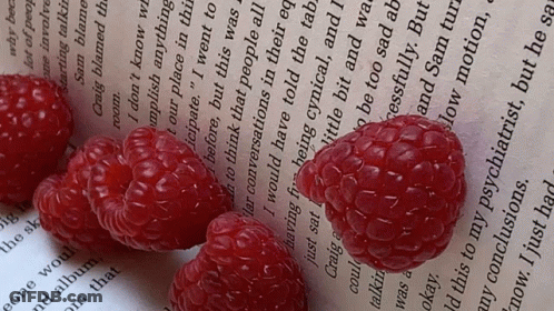 Open Book With Raspberry GIF