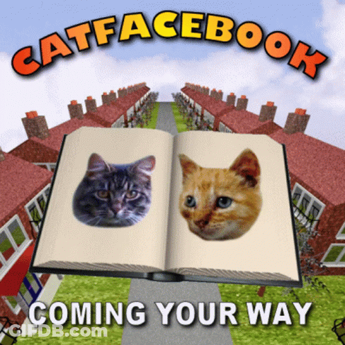 Open Book With Two Cats Titled Catfacebook GIF