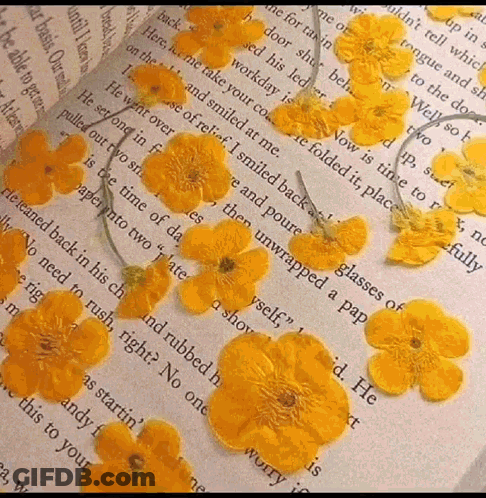 Open Book With Yellow Flowers GIF