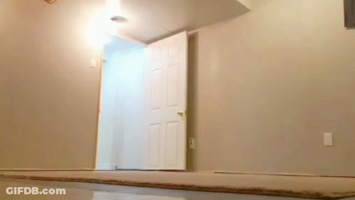 Open Door In Empty Room With Carpet GIF