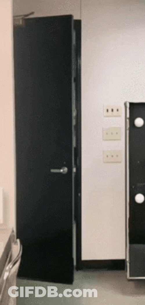 Open Door Let Me Check First GIF