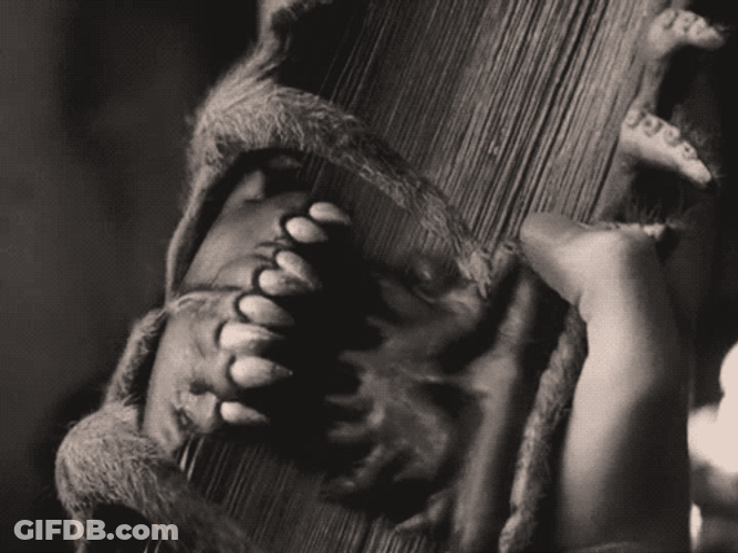 Open Monster Book Biting Harry Potter GIF