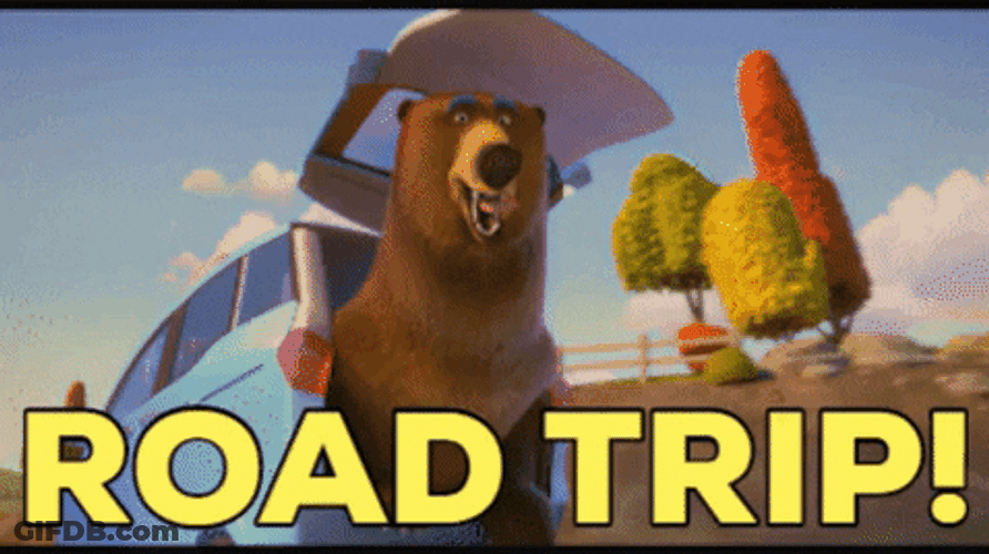 Open Season Boog Road Trip GIF
