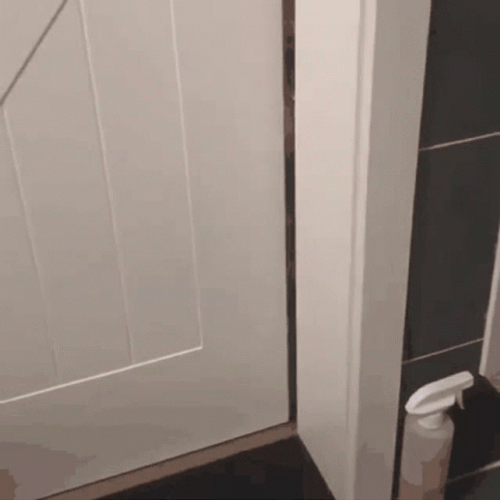 Open The Door Orange Cat GIF