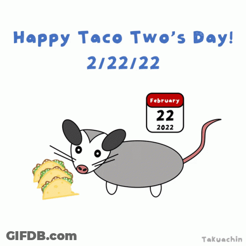 Opossum Eating Tacos February 22 2022 GIF